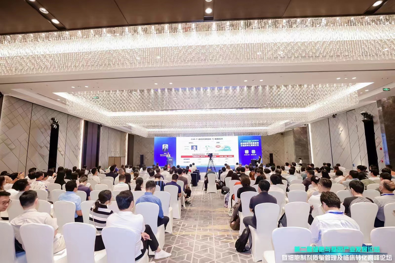 大会.jpg