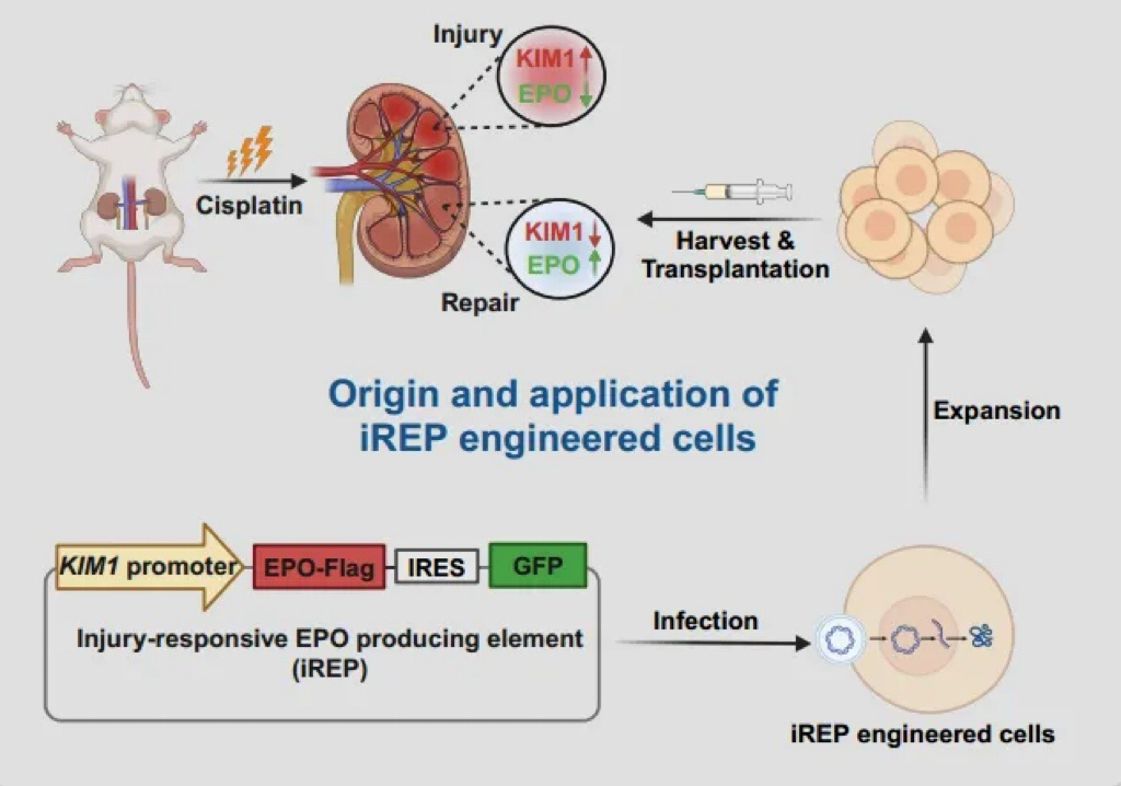 2025.11.9.1.jpg 2025.11.9.1.jpg