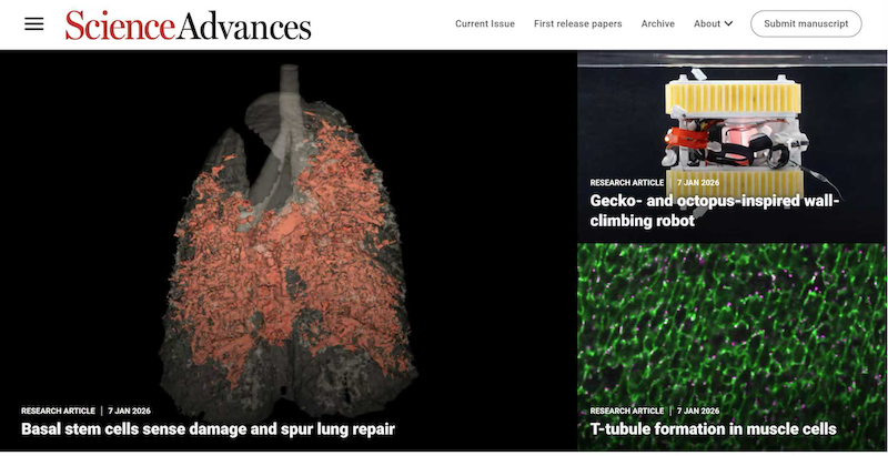 首页.png 首页.png