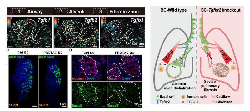 Science子刊首页.png Science子刊首页.png
