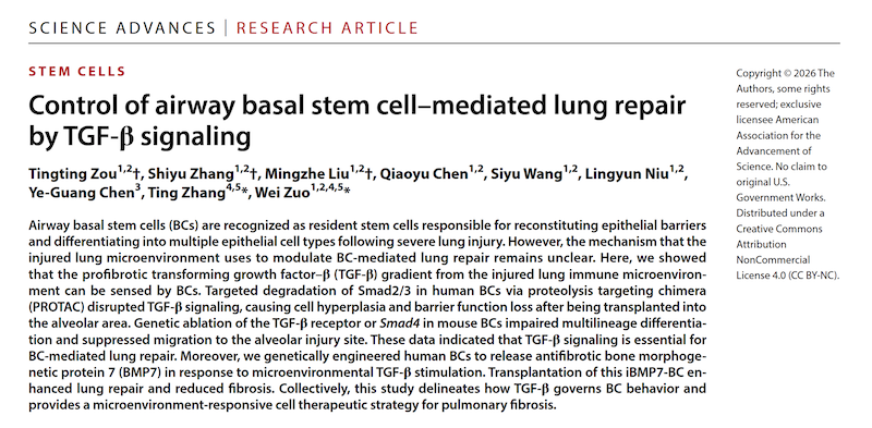 zhengwen.png zhengwen.png